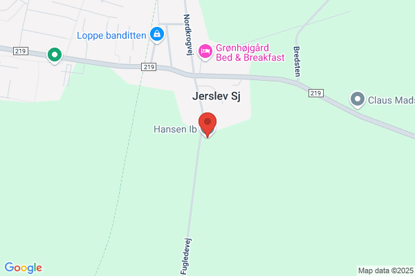 Hansen, Povl