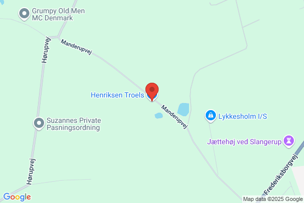 Henriksen Lis
