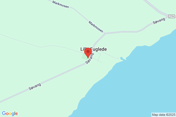 Lille Fuglede Sogns Menighedsråd