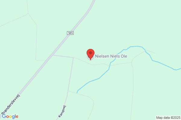 Nielsen Ole