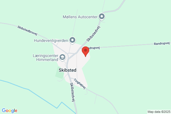 Mikkelsen, Otto