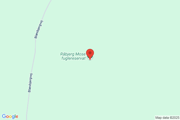 Napstjært og Råbjerg Mose Lodsejerforening