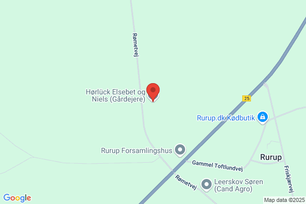 Else Højsager