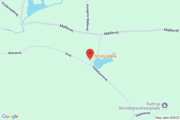 Rangle Mølle Skovdistrikt