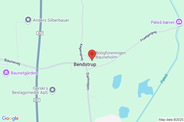 Bauneholm, Grundejerforeningen