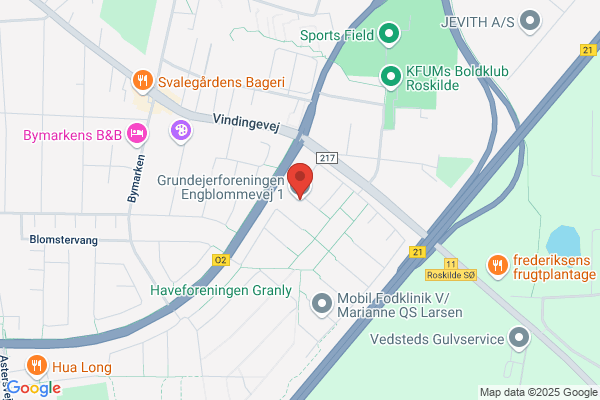 Grundejerforeningen "Lupinengen"