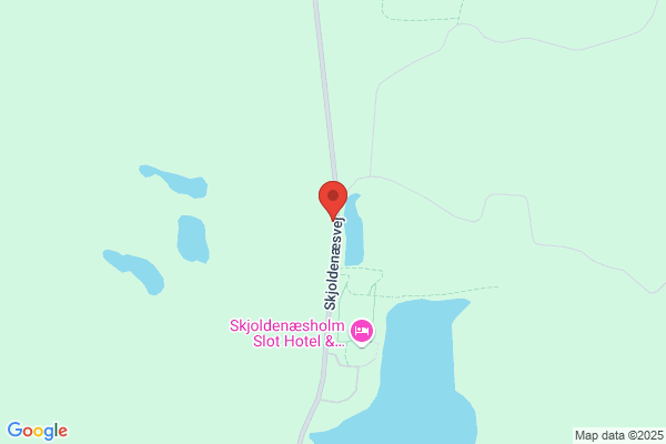 De Grønne Vinduespudsere