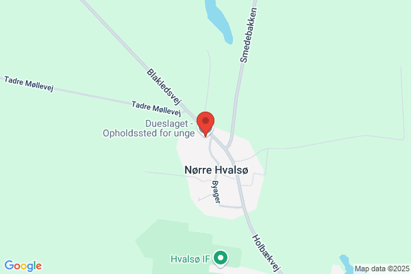 Dueslaget