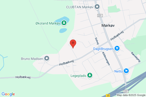 Karlsminde, Grundejerforeningen