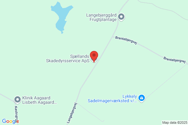 Skadedyrskontrol Sjælland (Thomas Vangsgaard Riisberg)