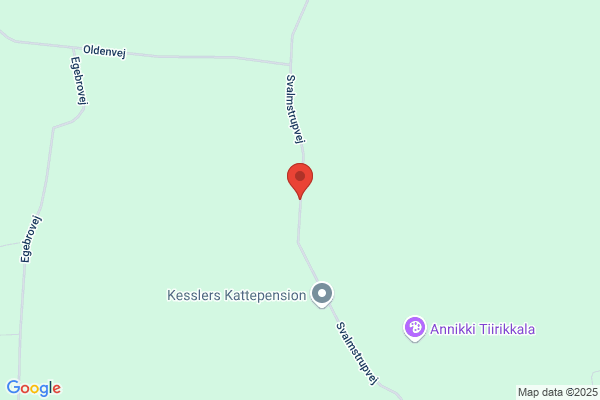 To-Ken-Jas-Trimmesalon