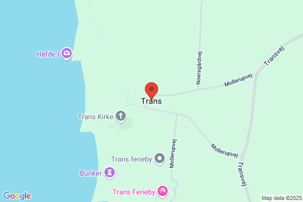 Transvestitforeningen i Danmark TiD