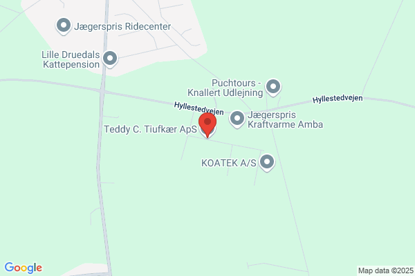 Tedyt's Køreskole