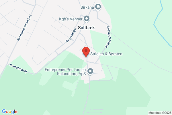 Lis, Salon