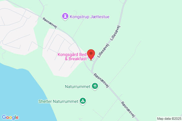 Nørgaard, Nis