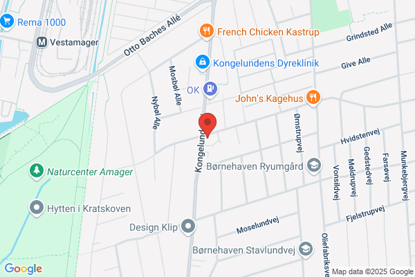 Tandlægerne på Kongelundsvej