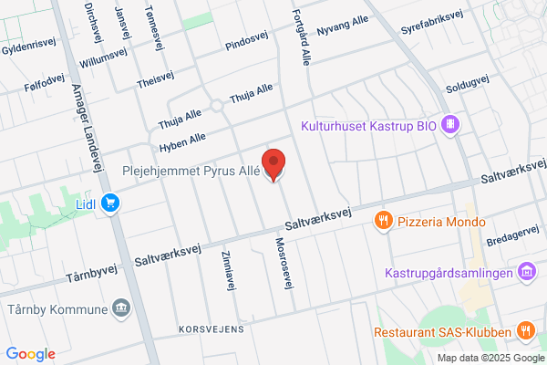 Plejehjemmet