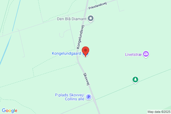 Kød & Vin