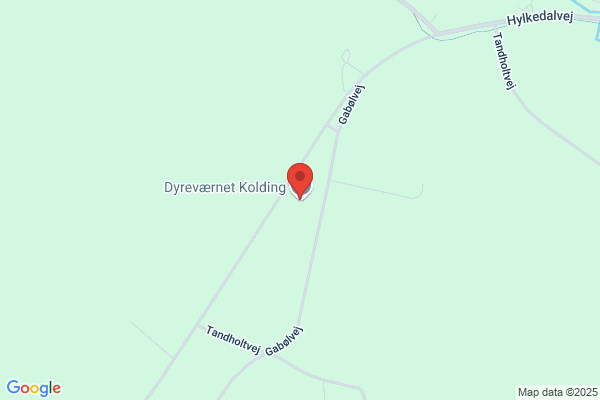 Søndergård Hunde- og Kattepension