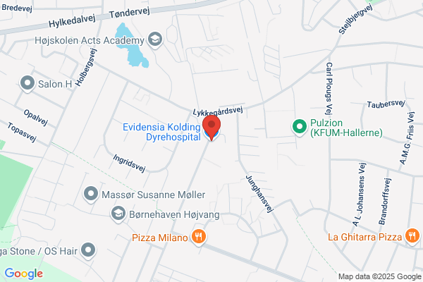 Kolding Dyrehospital I/S