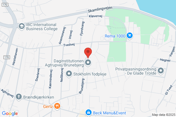 Brunebjerg Kollegiet, Vejle amtskommune