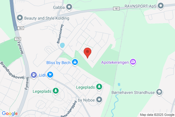 Vejle Amts Epilepsiforening.