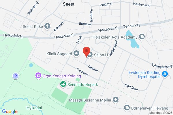 Venstre i Kolding Kommune