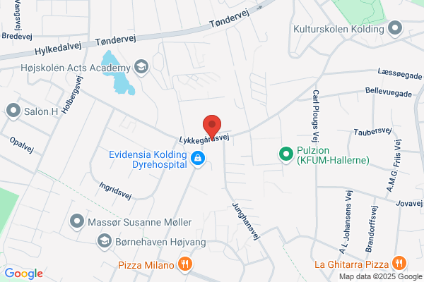 Psykologerne Nisgaard