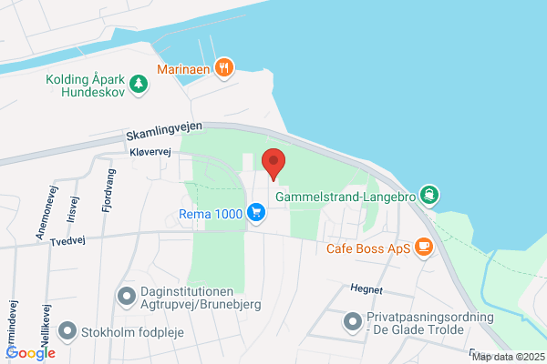 Lokale Rengøringsselskab, Det
