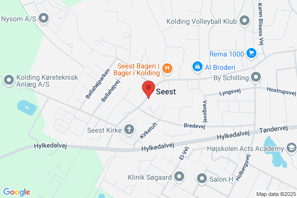 Det Danske Spejderkorps