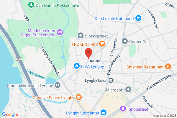 Stense, Salon