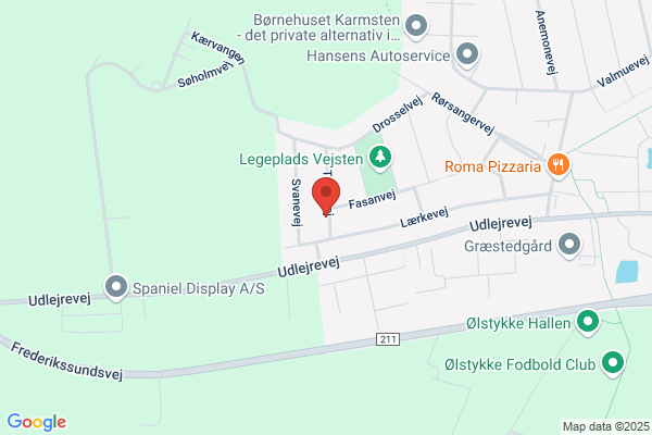 Villys Hjemmeservice