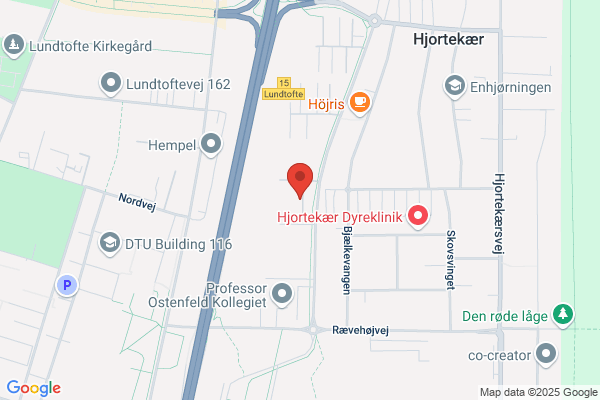 Thomsen, Inge