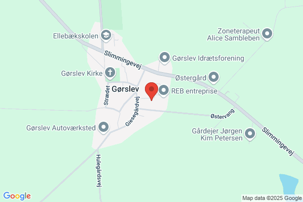 Fagkonsulenten