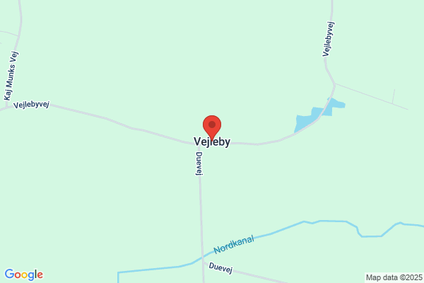 Vejlesby, Janne