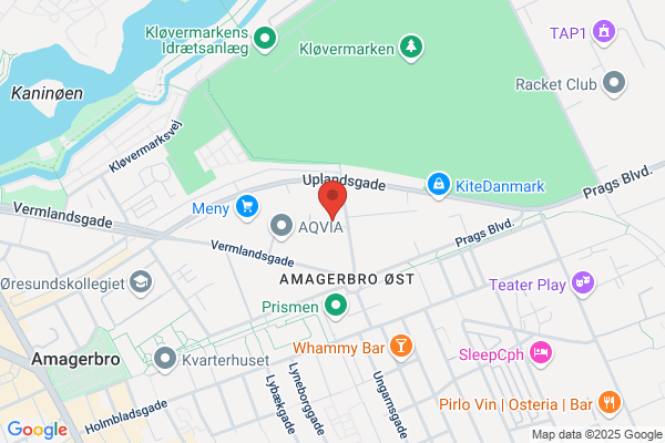 Øens Auto