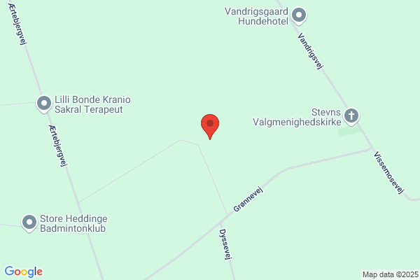 Stevnsmureren ApS