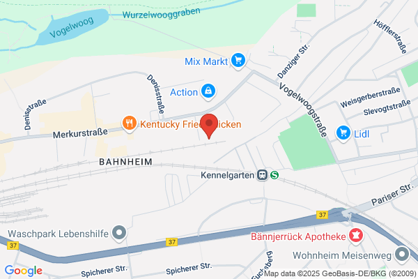 Grønne Kælder Den