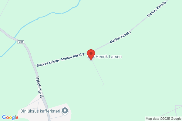 Larsen Henrik T. ApS Skælskør