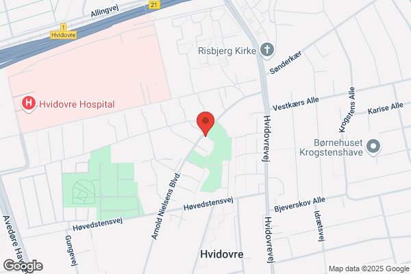 Bisgaards Kurerservice