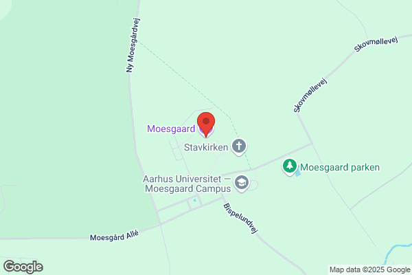 Moesgård Jan