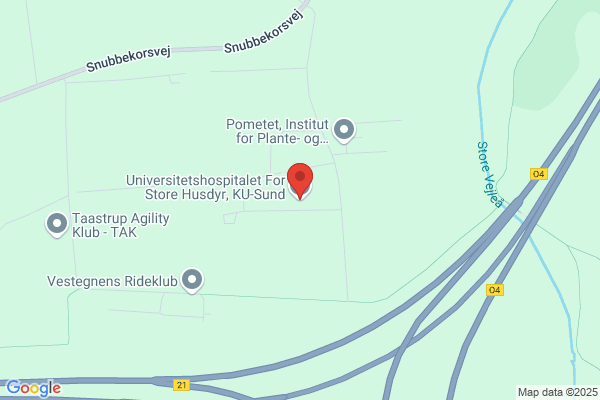 Hospital for Mindre Husdyr