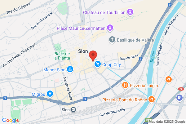 Des Lys De France