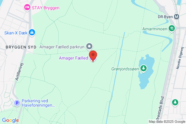 Elsparefonden