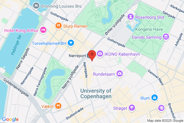 Danske Finansanalytikerforening, Den