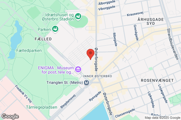 Dagshøjskolen Kys en Tiger