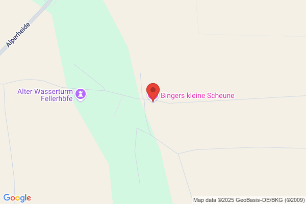Binger's Kunsthandel