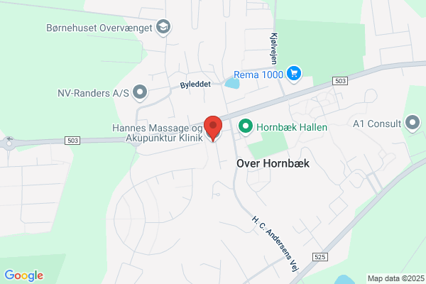Hanne's Helse & Idrætsmassageklinik