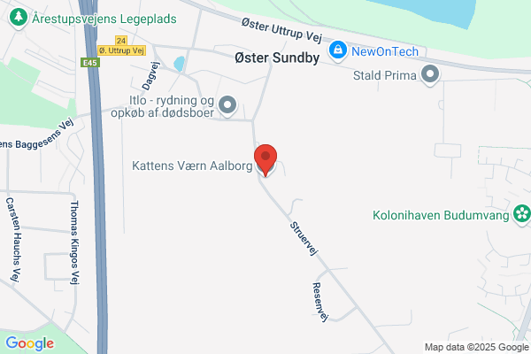 Kattens Værn