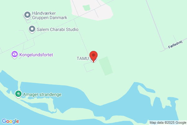 TAMU-Center København